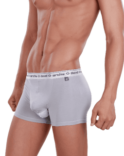 David Archy Men's 4 Pack Micro Modal Separate Pouch Trunks